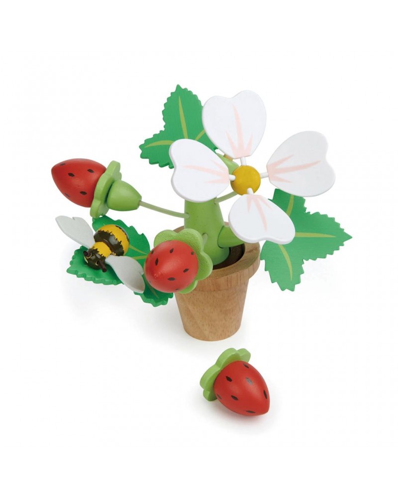 Pot de fleur avec fraises Au jardin  – Serpent à Lunettes
