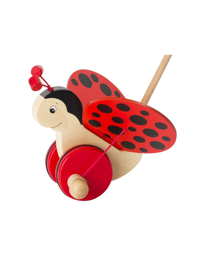 Coccinelle à pousser Jouets à tirer et pousser  – Serpent à Lunettes