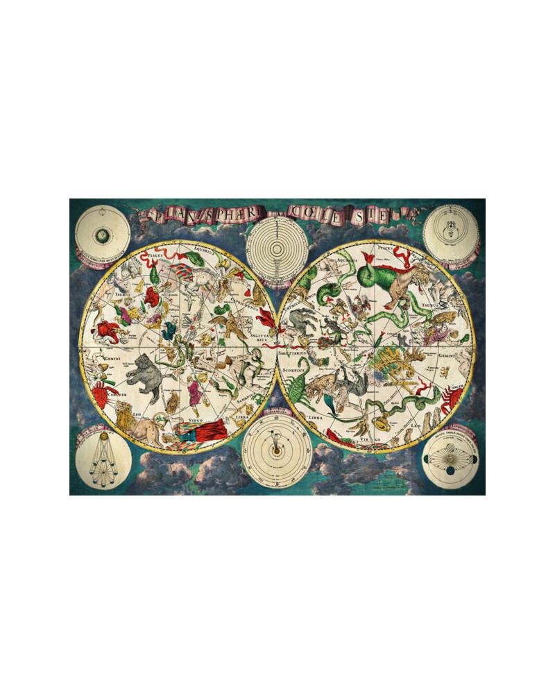Puzzle 1000 pièces Carte du ciel Puzzles  – Serpent à Lunettes