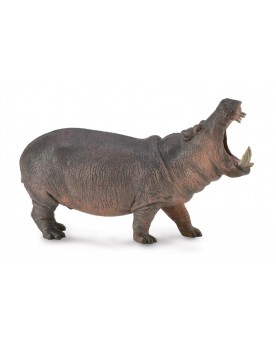 Hippopotame Animaux  – Serpent à Lunettes
