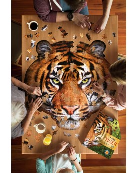 Puzzle 586 pièces Tigre Puzzles et casses-têtes  – Serpent à Lunettes