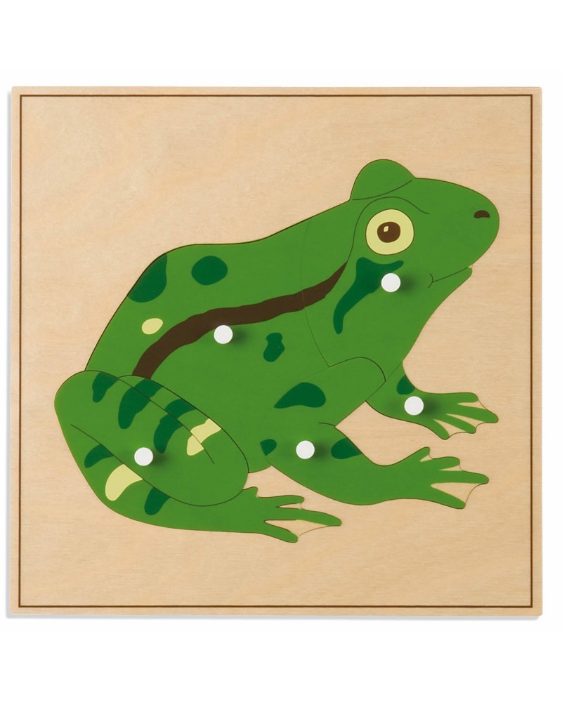 Puzzle 5 pièces Grenouille Puzzles  – Serpent à Lunettes