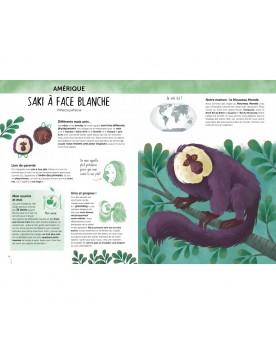 L'atlas de la biodiversité: Animaux insolites et curieux