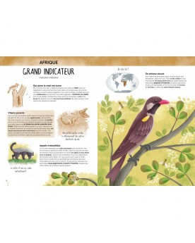 L'atlas de la biodiversité: Animaux insolites et curieux