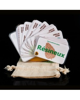 Carnet Arbres feuillus et résineux