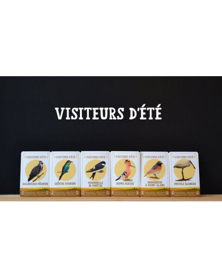 2 Jeux de cartes | Kaufen auf Ricardo