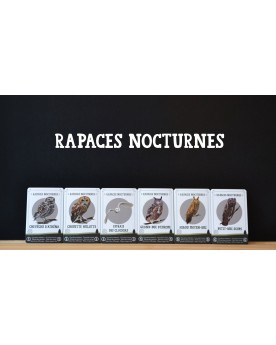 Jeu des 7 familles Oiseaux de France