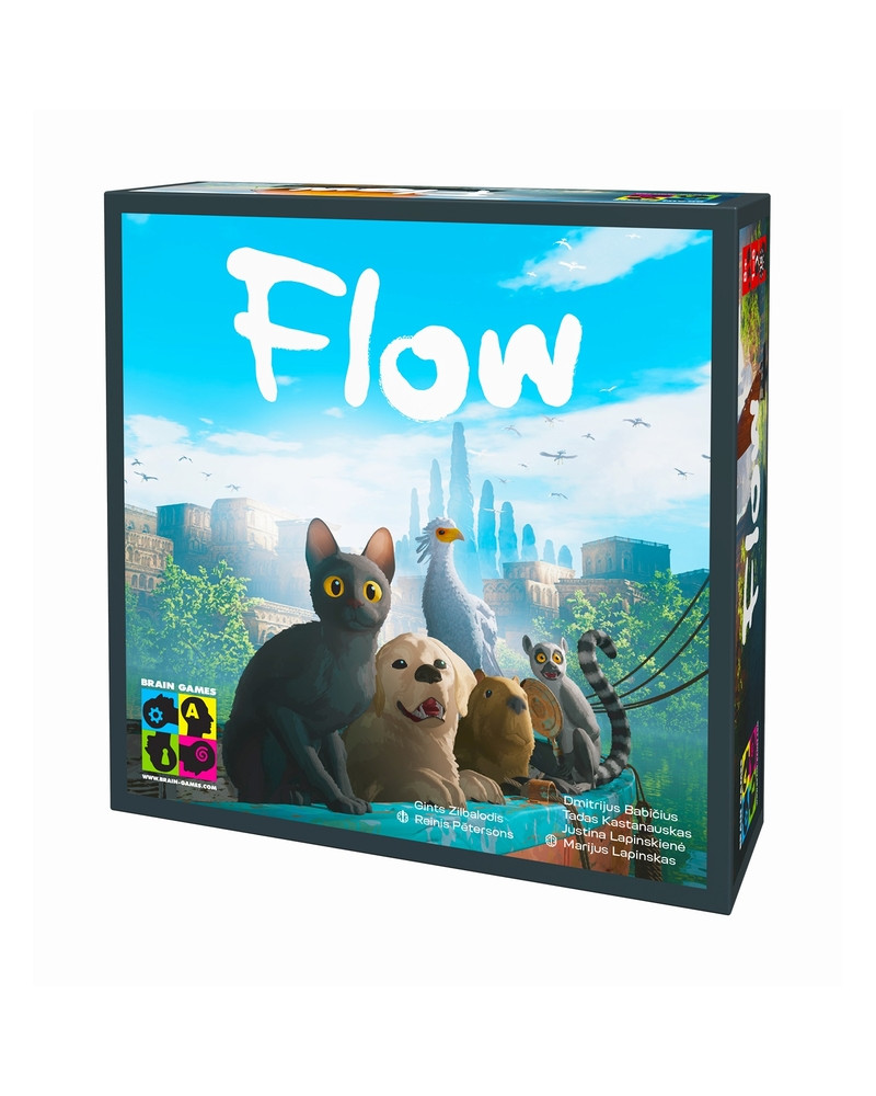Flow Flow