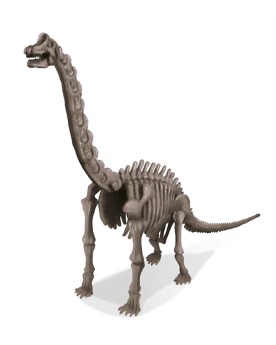 Déterre-ton-dino "Brachiosaure"