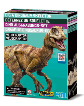 Déterre-ton-dino "Velociraptor"