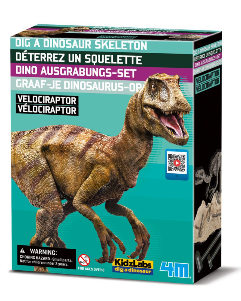 Déterre-ton-dino "Velociraptor"
