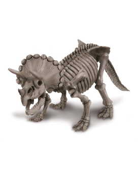 Déterre-ton-dino "Triceratops"