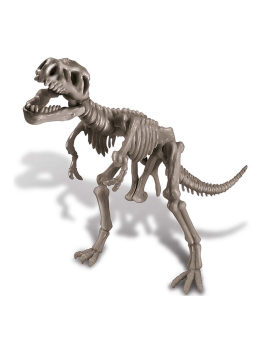 Déterre-ton-dino "T-Rex"