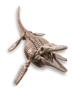 Déterre-ton-dino "Mosasaure"
