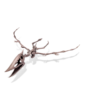 Déterre-ton-dino "Ptéranodon"