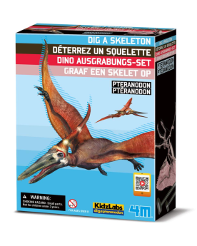 Déterre-ton-dino "Ptéranodon"