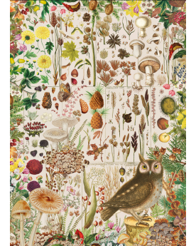 Puzzle 1000 pièces Parapluies – Serpent à Lunettes