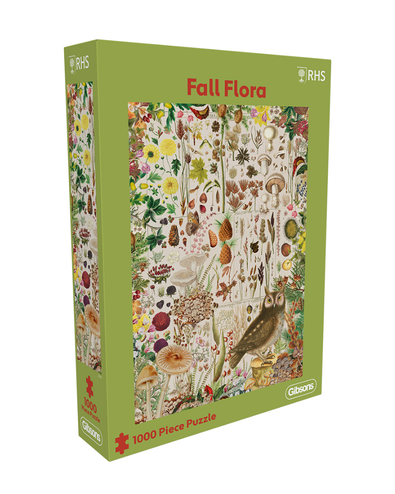 Puzzle 1000 pièces Parapluies – Serpent à Lunettes