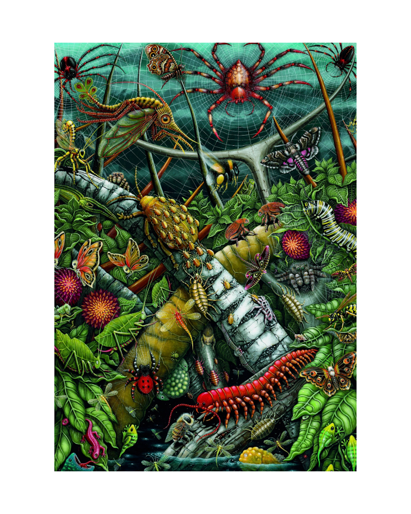 Puzzle 1000 pièces Terre d'enchantement