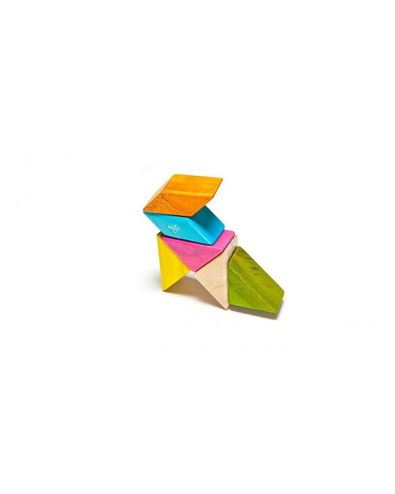 Jeu magnétique en bois Tegu Pocket prism Pastel Blocs de construction  – Serpent à Lunettes