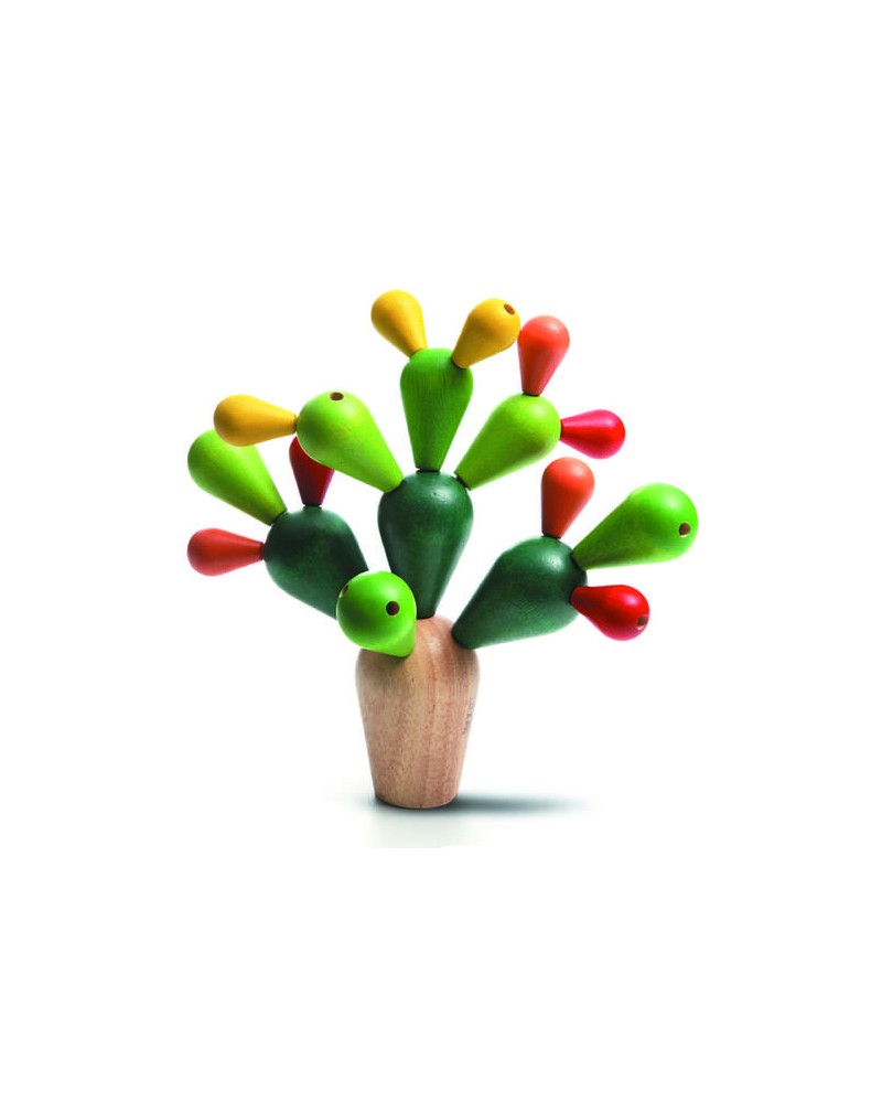 Mikado cactus Pour 2 et plus  – Serpent à Lunettes