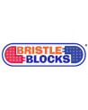 BRISTLE BLOCKS